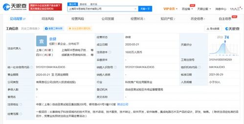 華為入股芯片設計公司，深化集成電路產業鏈布局